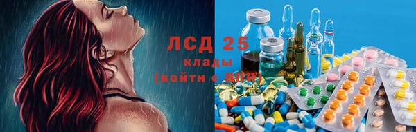 прущие грибы Нефтегорск