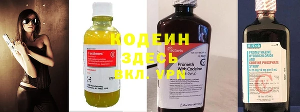 прущие грибы Нефтегорск