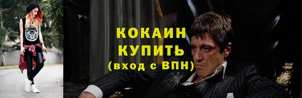 тгк Нея