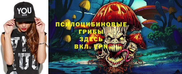 тгк Нея