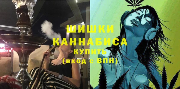 spice Новозыбков