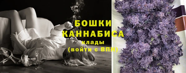 прущие грибы Нефтегорск
