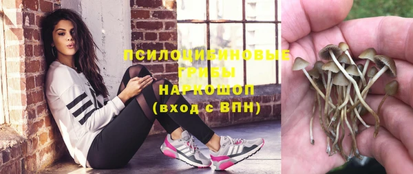 прущие грибы Нефтегорск