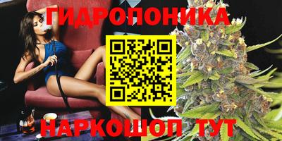 ПСИЛОЦИБИНОВЫЕ ГРИБЫ Гусев