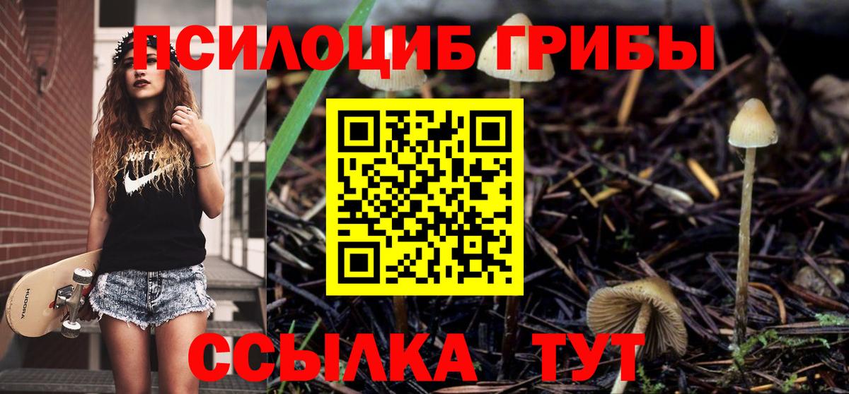 Галлюциногенные грибы мицелий Коммунар