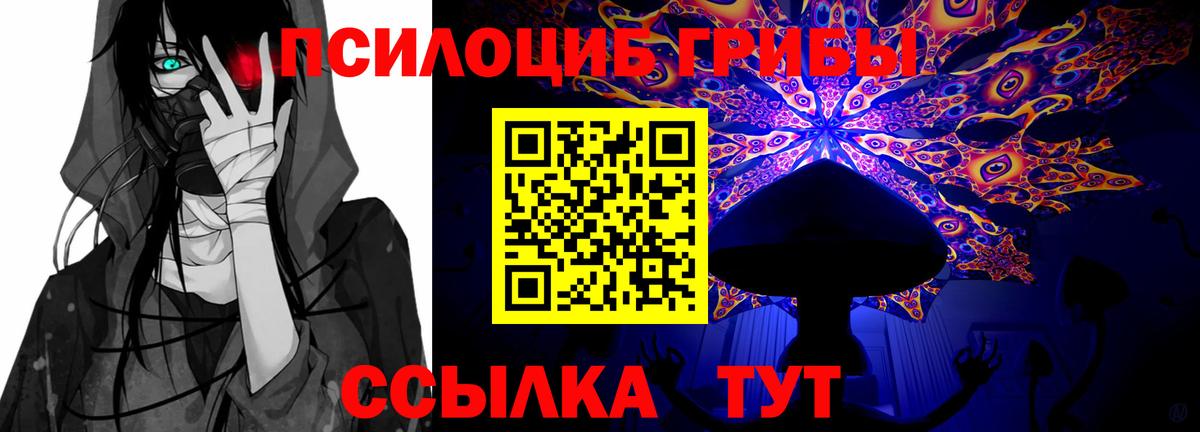 Галлюциногенные грибы Magic Shrooms  Коммунар 