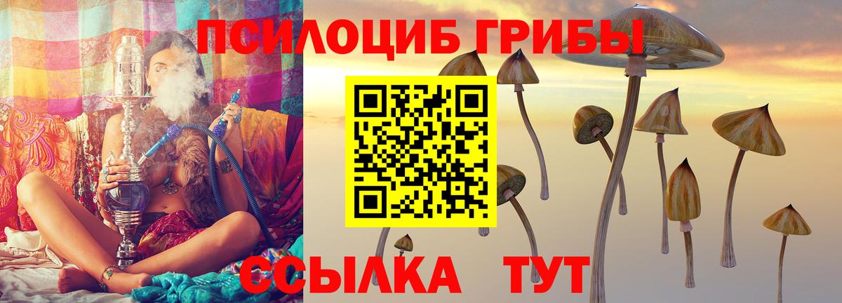 Галлюциногенные грибы мухоморы Коммунар