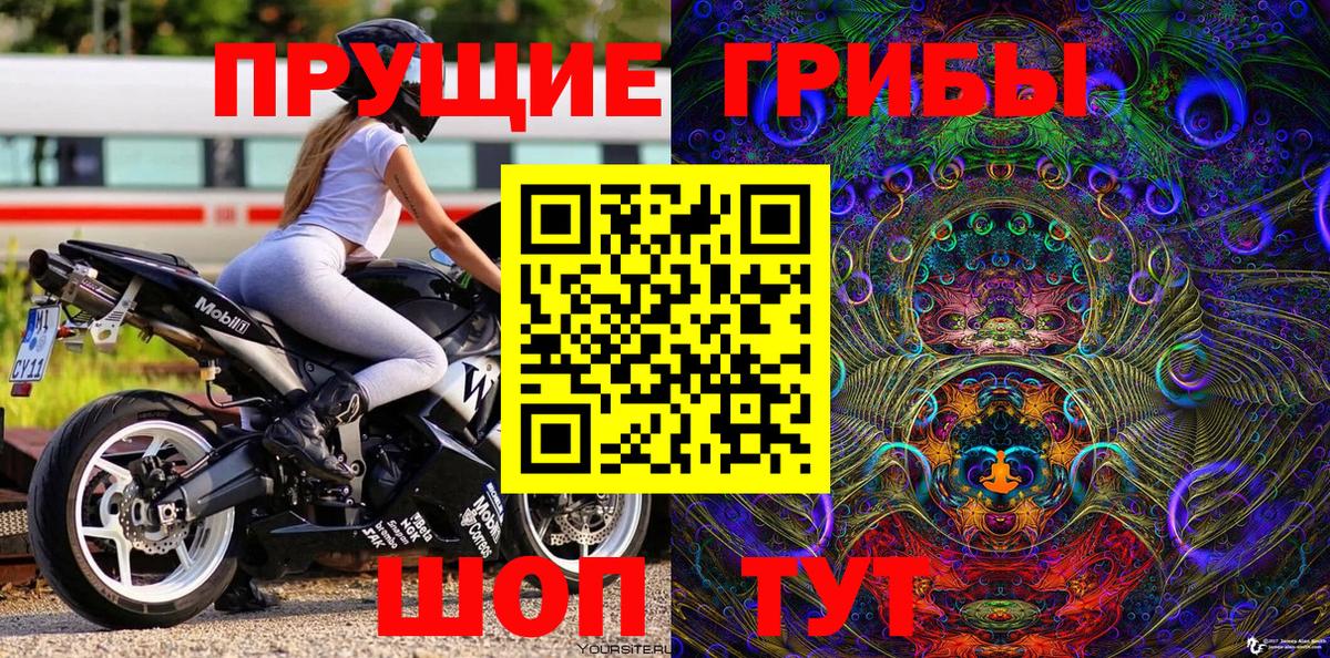 Коммунар  Псилоцибиновые грибы Psilocybine cubensis  Вход с VPN 